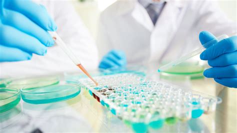 laboratory analyzes|medical laboratory testing.